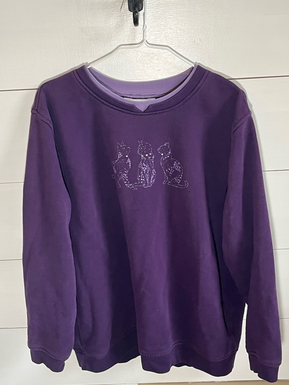 Northern Reflections Cat Graphic Sweatshirt